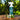 ECO Horse Bye Bye Fly