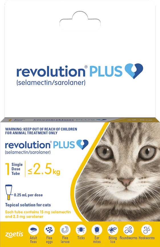 Revolution Plus: Cat Pack Bob Ben Pet Supplies - Main Image