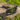 EcoHorse Eco Scraper