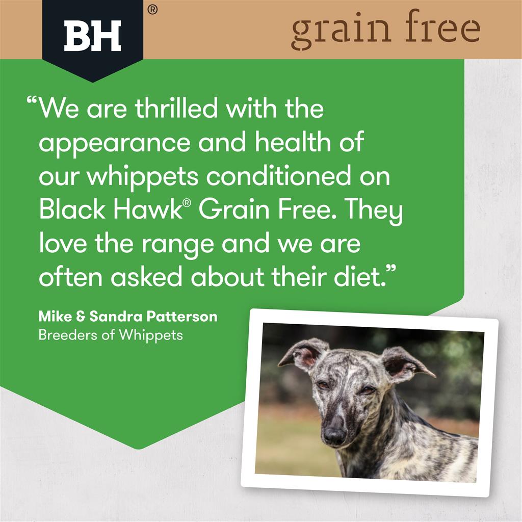BlackHawk: Dog Grain Free Chicken