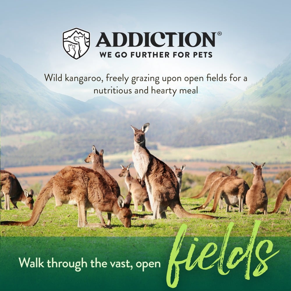 Addiction: Grain Free Wild Kangaroo & Apples (Dog)
