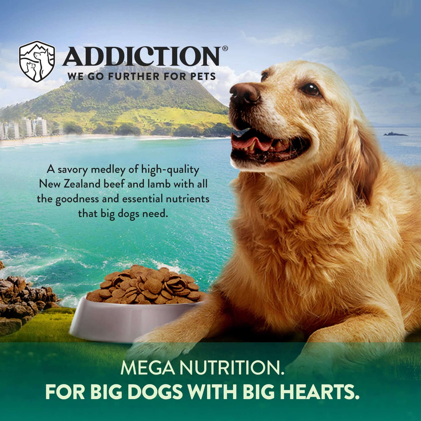 Addiction: Grain Free Mega (Dog)