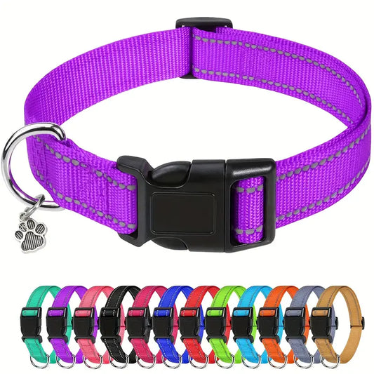 BAB Collar Dog Classic - Purple