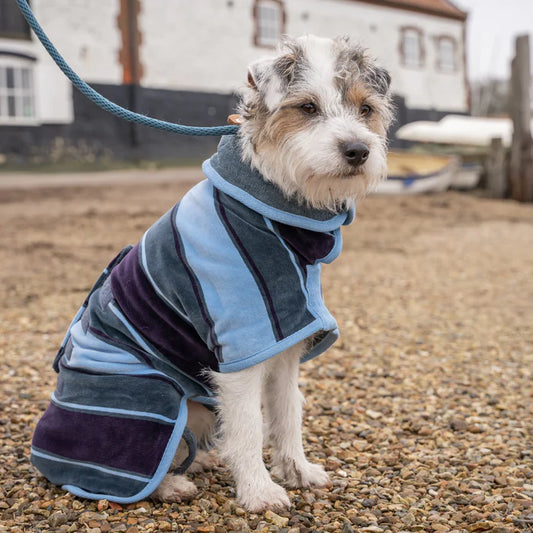 RUFF&TUMBLE: Dog Drying Coat Blue Stripe