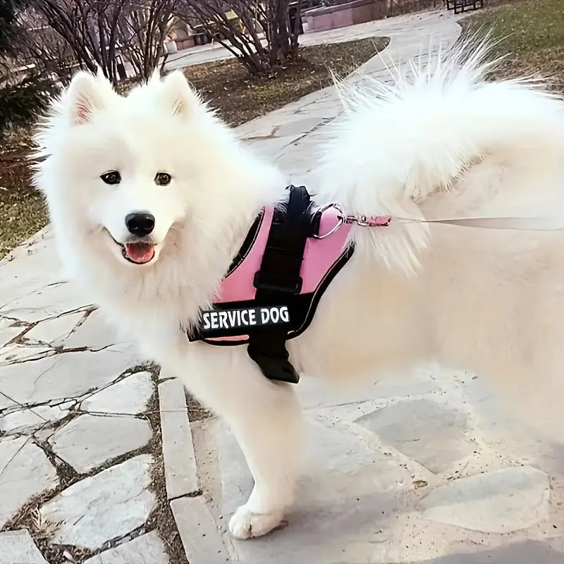 BAB: Large Dog Harness with Handle - Pale Pink