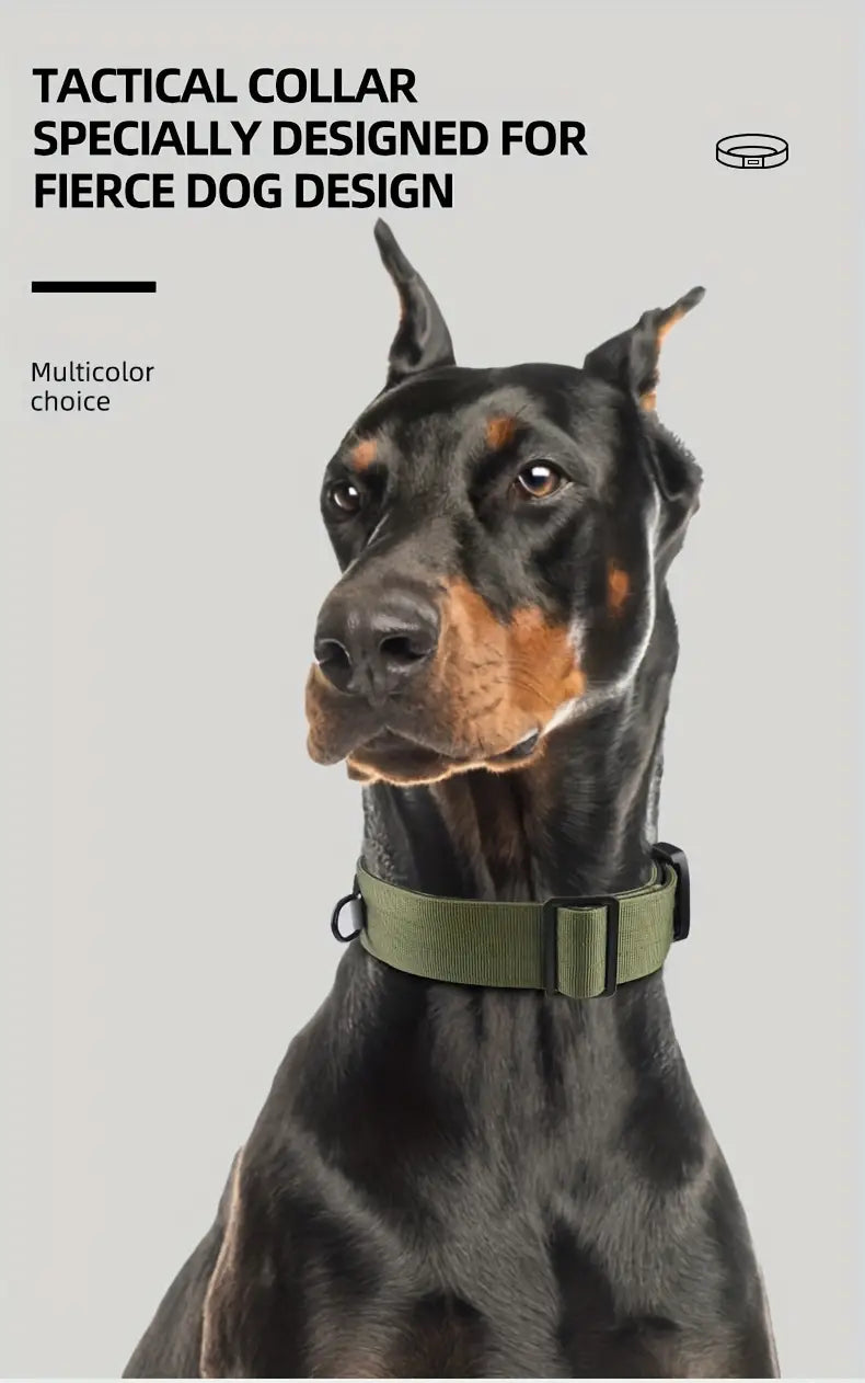 Sturdy Dog Handle Collar - Grey
