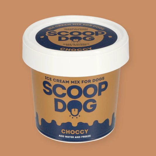 Scoop: Dog Ice Cream - Choccy