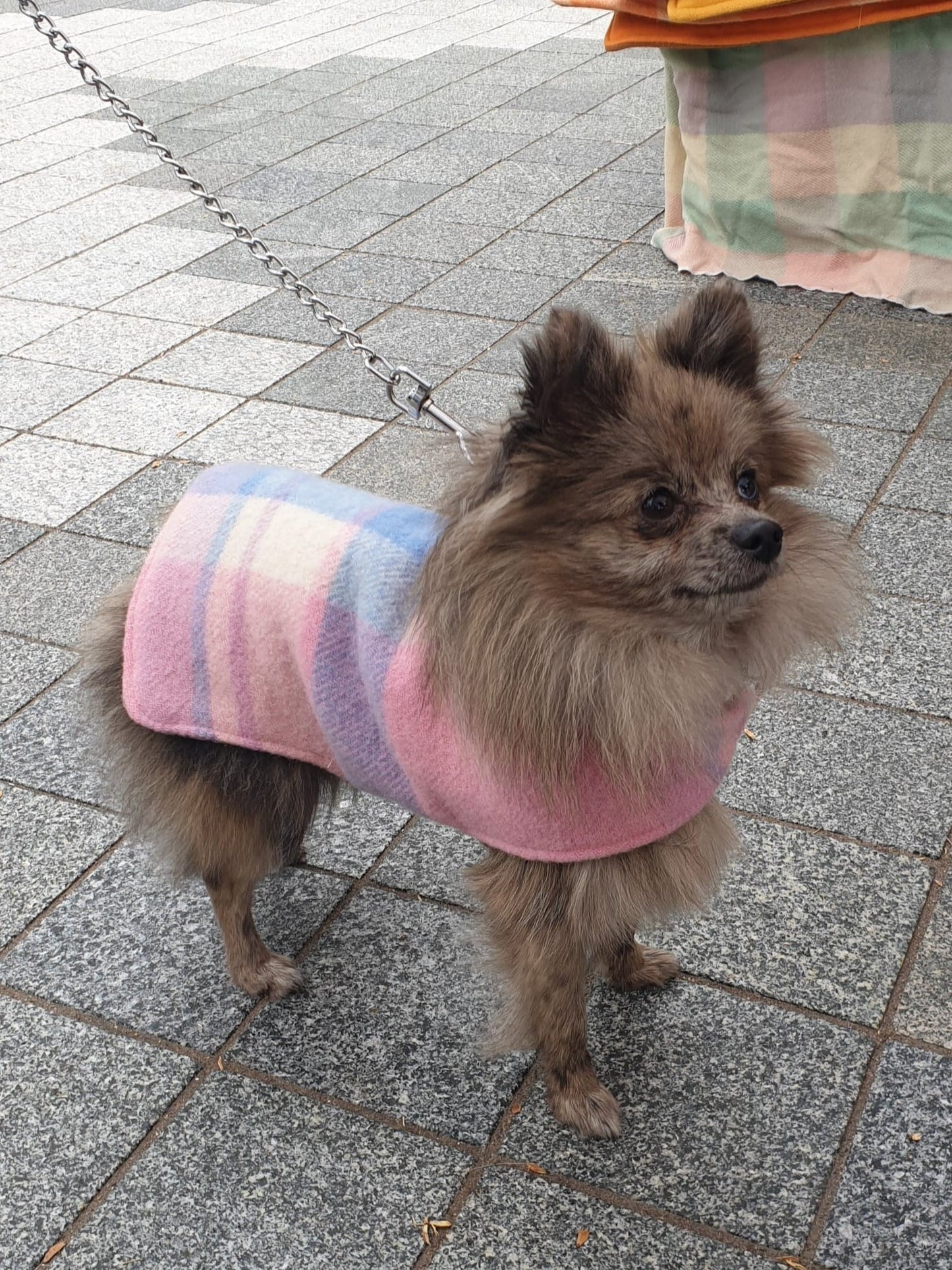 Blankit: Dog Woollen Retro Coat