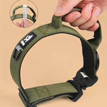 Sturdy Dog Handle Collar - Grey by BAB Petwear:
