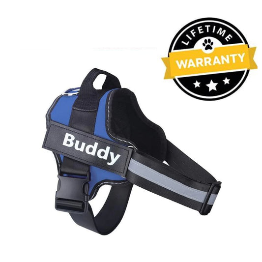 BAB: Large Dog Harness with Handle - Blue
