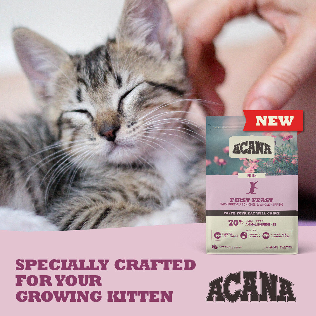 Acana: First Feast Kitten