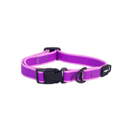 Rogz: Amphibian Classic Collar - Purple