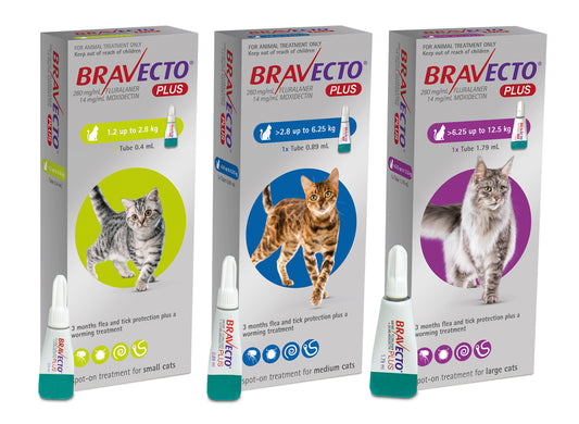 Bravecto: Flea & Tick & Worm Spot On PLUS for Cats
