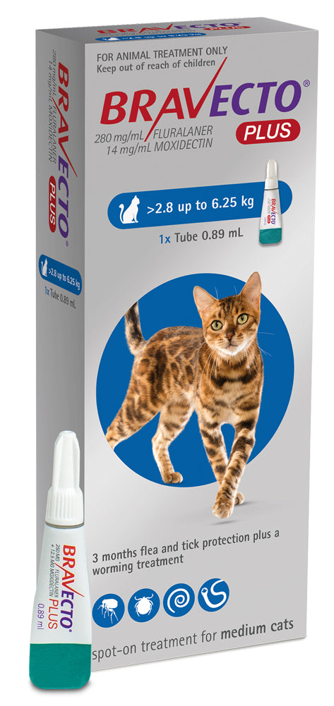 Bravecto: Flea & Tick & Worm Spot On PLUS for Cats