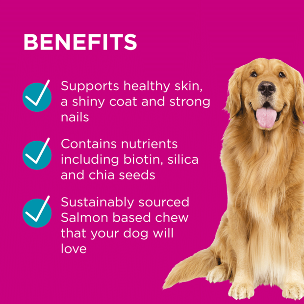 PAW by Blackmores: Coat, Skin + Nails Multivitamin Chews - 300g