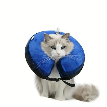 Inflatable Dog and Cat Recovery Collar