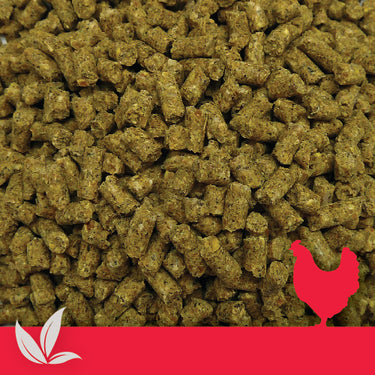 Denver: Organic Layer MBM Pellets 20kg