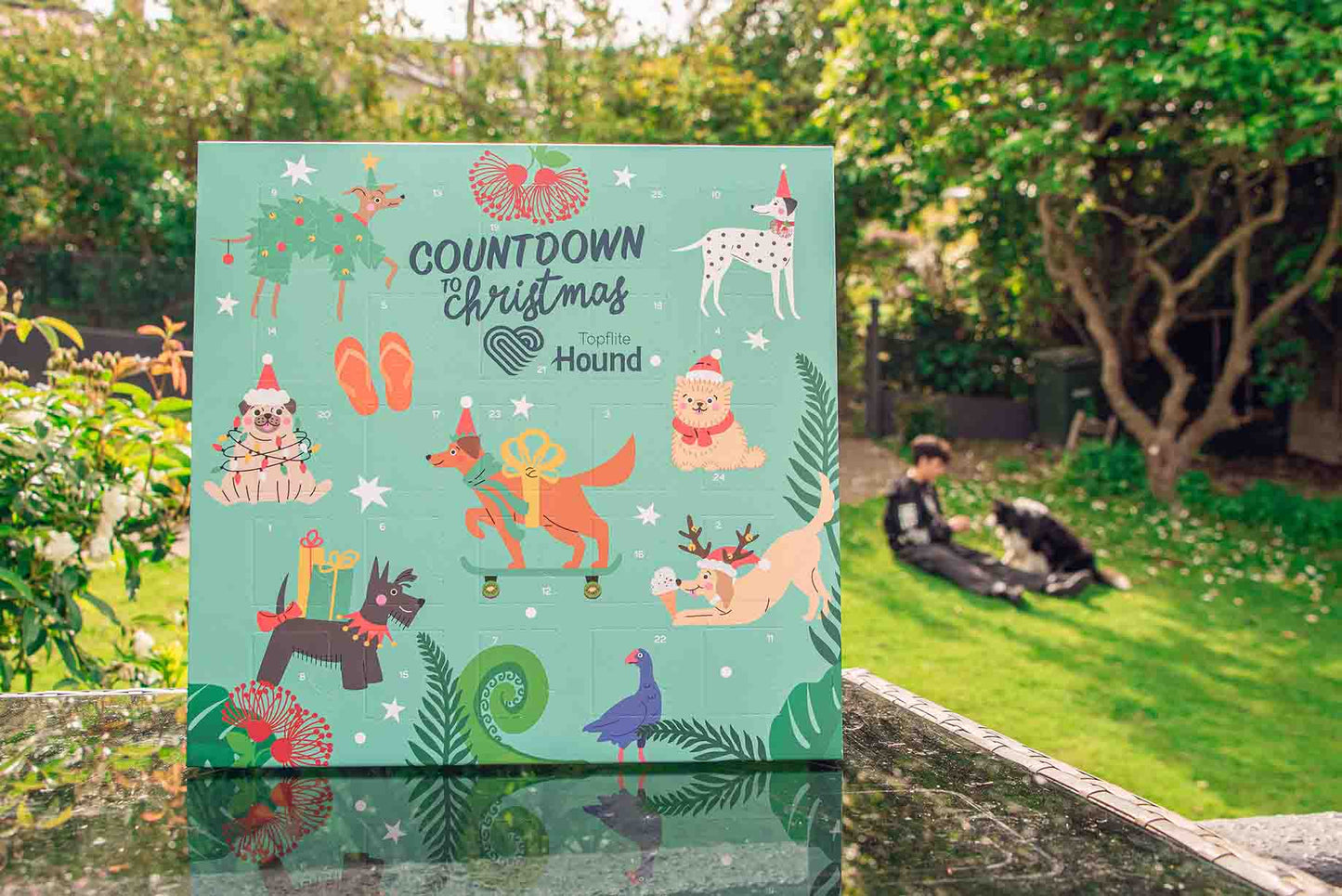 Topflite Christmas Advent Calendar for Dogs