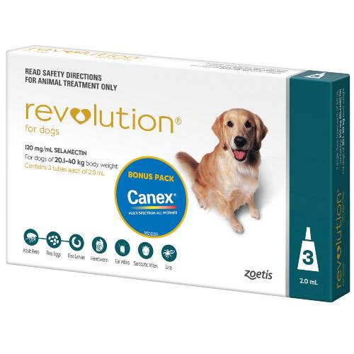 Revolution: Dog Large 20-40kg - 6 pack – Bob & Ben The Petfood Men