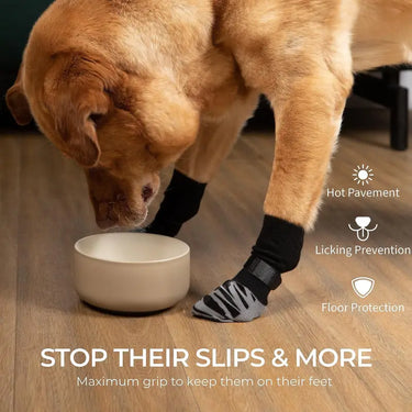 Dog Non-Slip Socks (Assorted Colours/Designs)