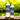 ECO Horse Grape Hubba Bubba Shampoo - 500ml