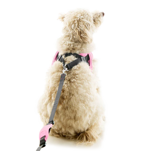 Gooby: Escape Free Easy Fit Harness - Las Vegas Black