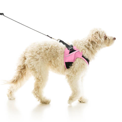 Gooby: Escape Free Easy Fit Harness - Las Vegas Black