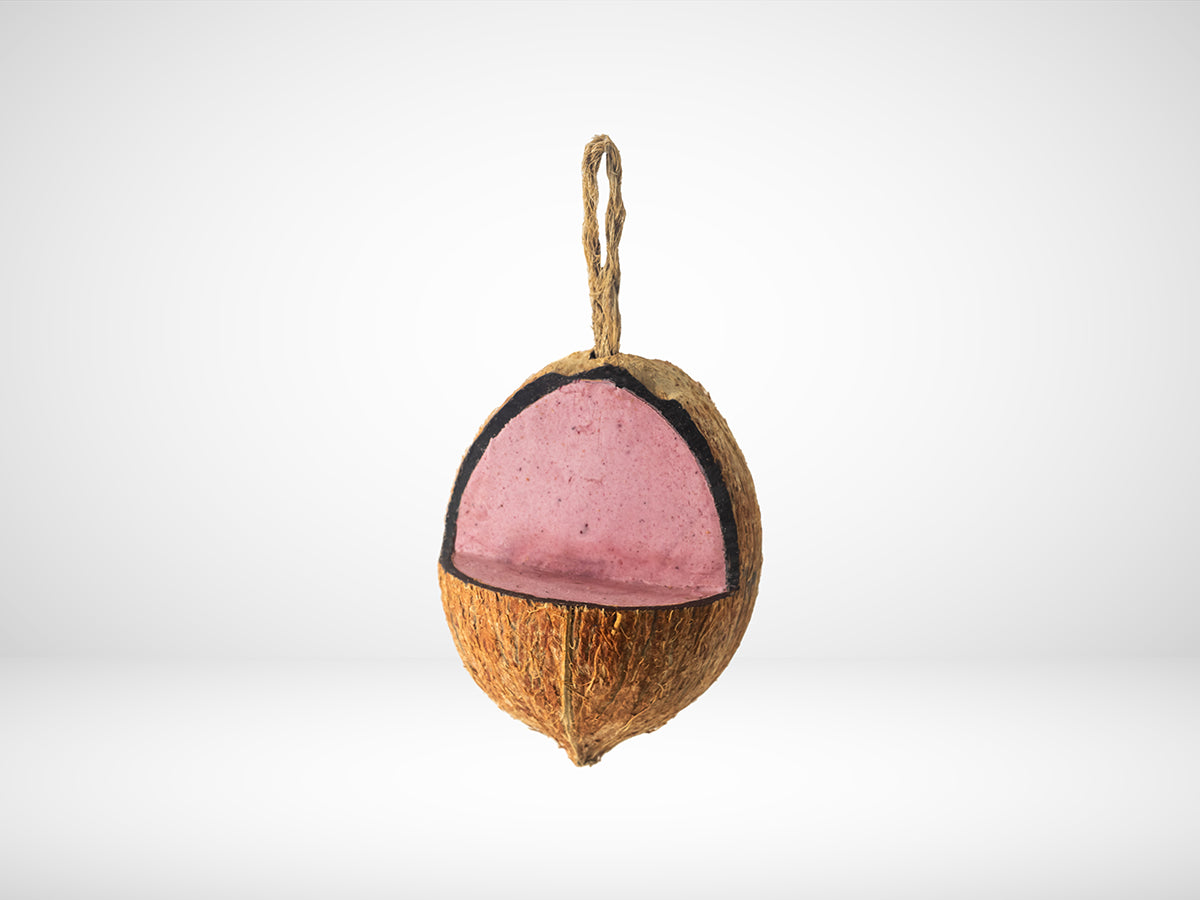 Topflite: Wild Bird Cherry Coconuts