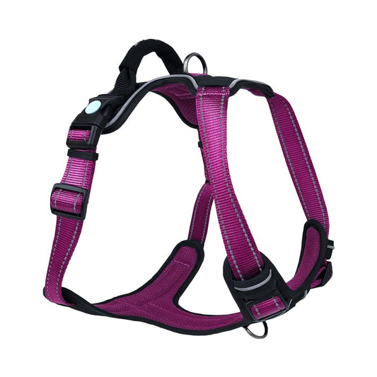 Huskimo: Harness Ultimate - Aurora