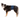 Trixie - Incontinence Belly Band for Male Dogs
