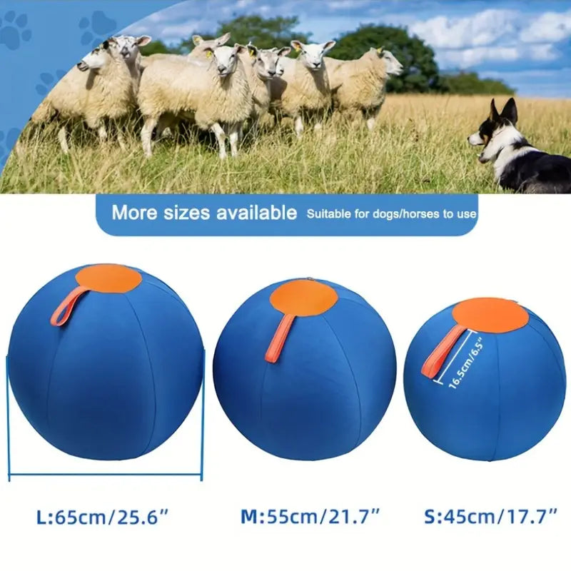 BAB: Large Inflatable Herding Ball