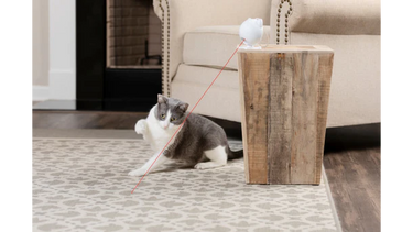 Dancing Dot Cat Laser Toy - By Petsafe