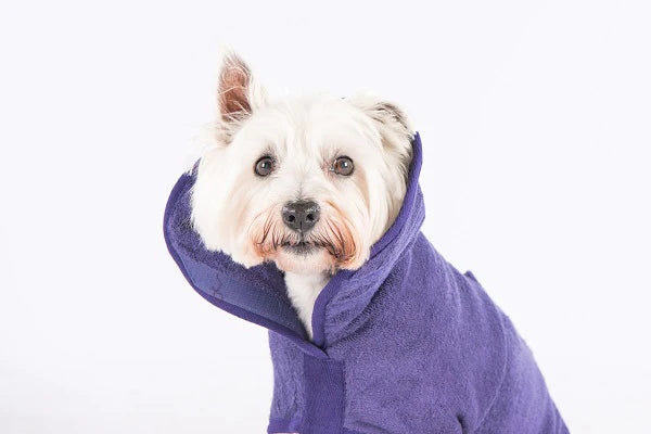 RUFF&TUMBLE: Dog Drying Coat Purple
