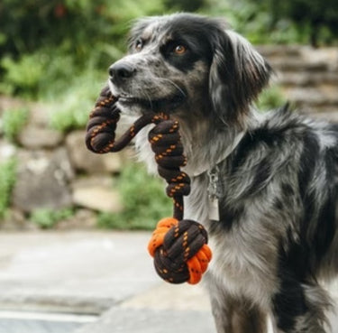 P.L.A.Y. Scout & About - Rope Toy - Tug Ball - Large