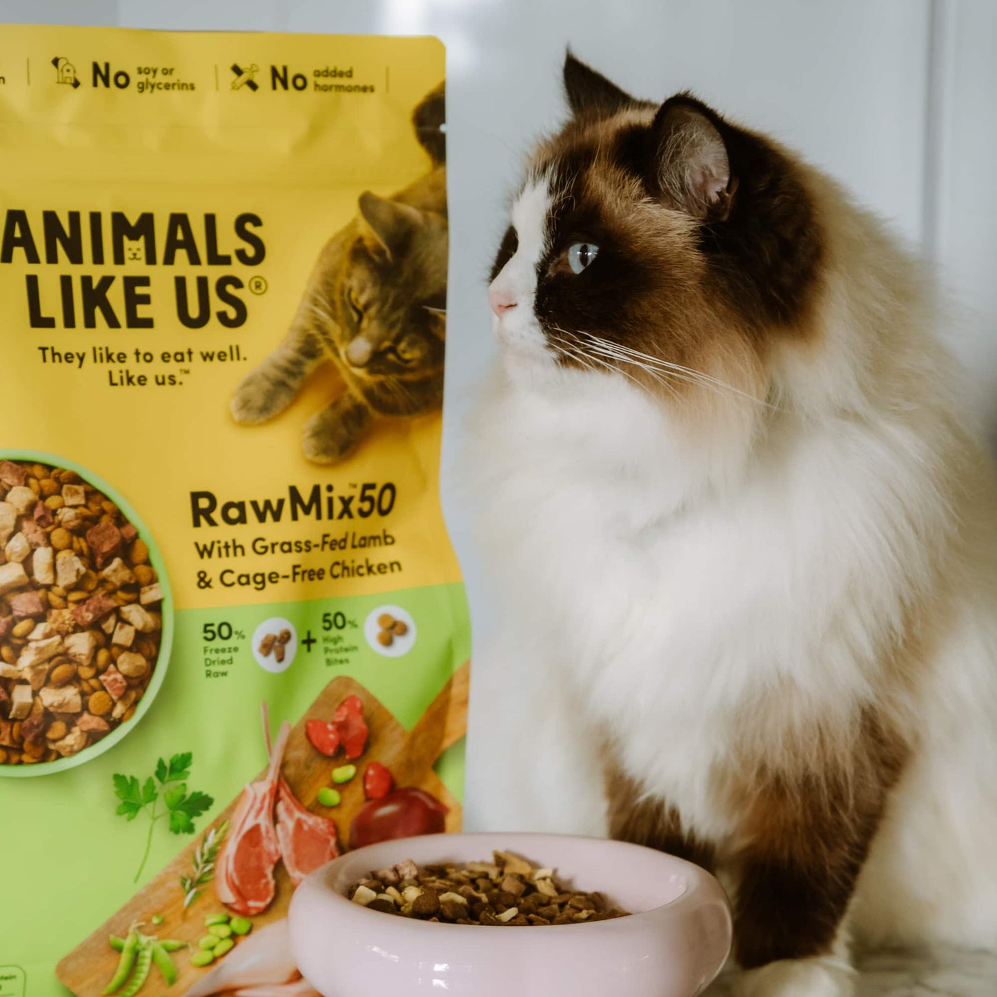 Animals Like Us: CAT RawMix50 with Lamb/Chicken 1.36kg