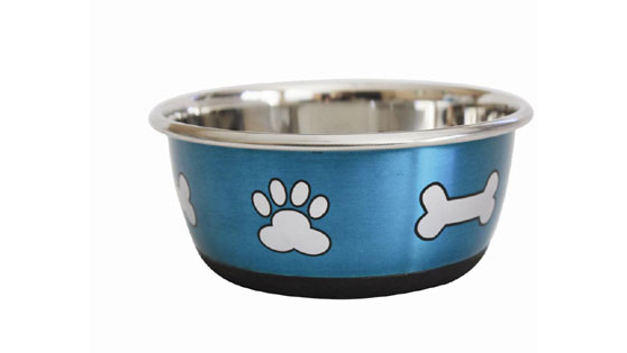 Durabolz: Paw & Bone Metallic Blue Bowl