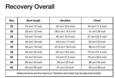 BAB Recovery Overall / Pajamas