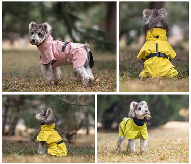 Dog Raincoat - Waterproof  - Orange