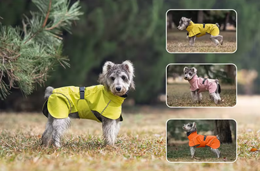 Dog Raincoat - Waterproof  - Yellow