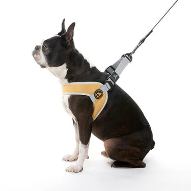 Gooby: Simple Step-In Harness III - Pink