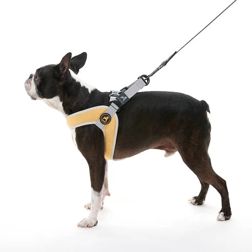 Gooby: Simple Step-In Harness III - Pink