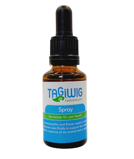 Tagiwig: Spray