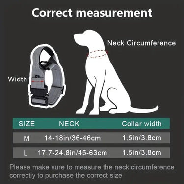 Sturdy Dog Handle Collar - Red by BAB Petwear: