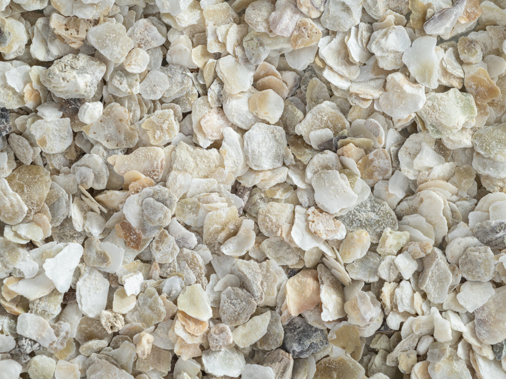 Topflite: Oyster Shell Coarse Grit
