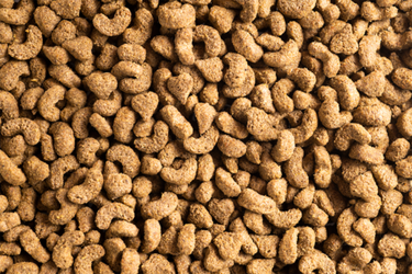 Topflite: Super Premium Rabbit & Guinea Pig Nuggets