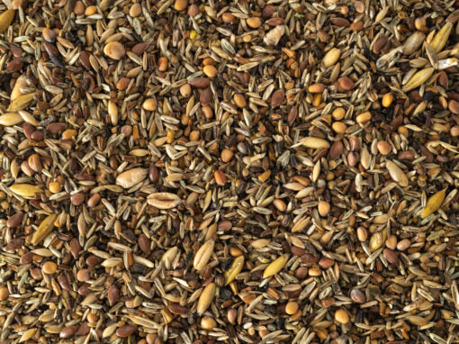 Topflite: Wild Bird Seed Mix Fine