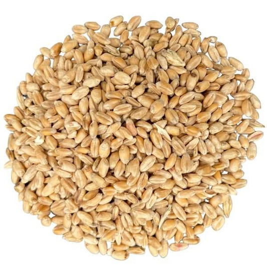 Denver: Organic Wheat 20kg