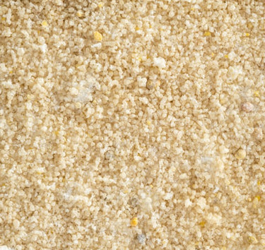 Topflite: Tui and Wild Bird Nectar