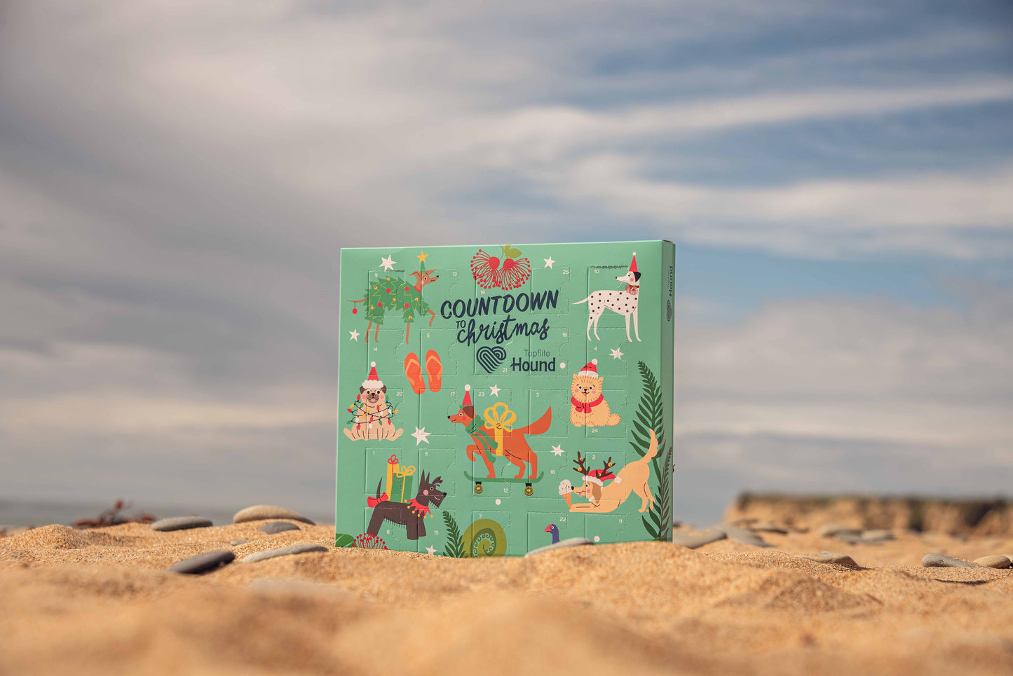 Topflite Christmas Advent Calendar for Dogs