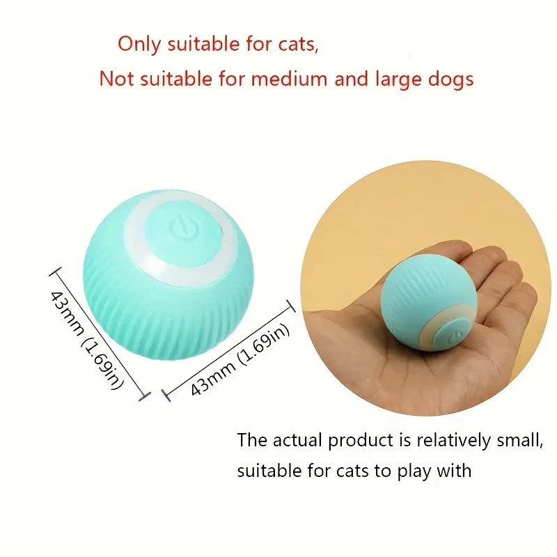 BITS & BOBS: Self Moving Electric Rolling Ball Game (Cat)